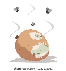 Rotten lychee vector isolated illustration. Food waste, poisonous exotic fruit. Insects flying around the rotting food. Fungus on the fruit.