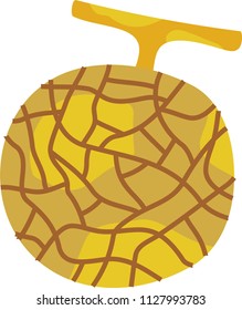 Rotten melon illustration 2