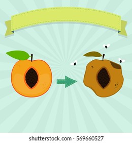 Rotten peach with flies and fresh peach. Blank ribbon for insert text.