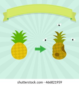 Rotten pineapple with flies and new pineapple. Blank ribbon for insert text.