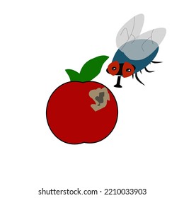 rotten red apple vector illustration