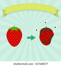 Rotten strawberry with flies and new strawberry. Blank ribbon for insert text.