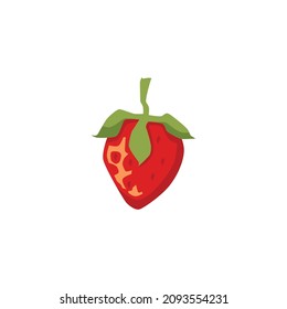 Rotten strawberry with mold, bacteriums. Spoiled fruit in decay, with moldy fungi in flat vector illustration isolated on white background. Dirty unhealthy food with fungus rot