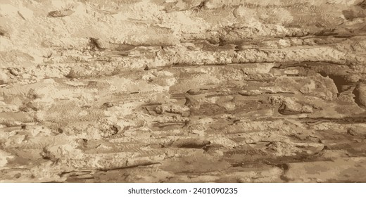 Rotting old wood. Vintage rotten wood texture. Vector illustration