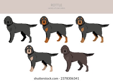 Clíparte rojiza. Mezcla Rottweiler Poodle. Colores de abrigo diferentes.  Ilustración del vector