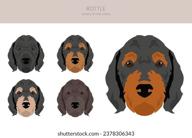 Clíparte rojiza. Mezcla Rottweiler Poodle. Colores de abrigo diferentes.  Ilustración del vector