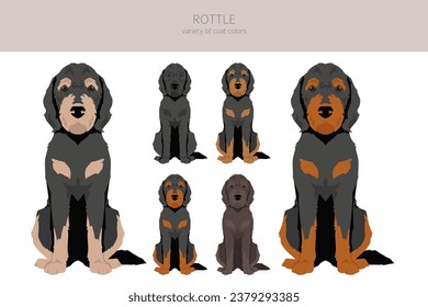 Clíparte rojiza. Mezcla Rottweiler Poodle. Colores de abrigo diferentes.  Ilustración del vector