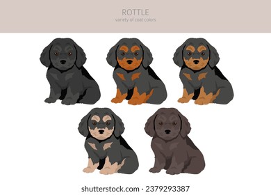 Clíparte rojiza. Mezcla Rottweiler Poodle. Colores de abrigo diferentes.  Ilustración del vector