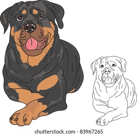 Rottweiler