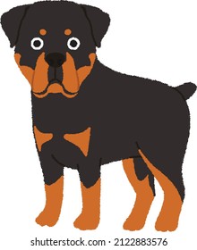 The Rottweiler is a breed of domestic dog, regarded as medium-to-large or large. Rottweilers are now also used as search and rescue dogs, guard dogs, and police dogs.