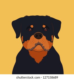 Rottweiler, The buddy dog