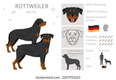 Rottweiler Clipart. Unterschiedliche Posen, Farben für die Fellfarbe.  Vektorgrafik