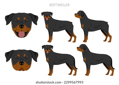 Rottweiler Clipart. Unterschiedliche Posen, Farben für die Fellfarbe.  Vektorgrafik