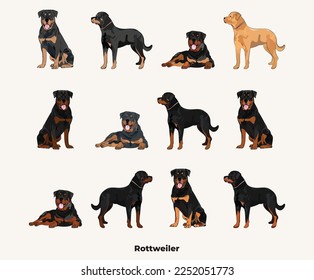 Rottweiler colors. Cute dog characters in various poses, design for print, adorable and cute cartoon vector set, in different poses. All popular colors. Dog Drawing collection set. Standing, sitting.