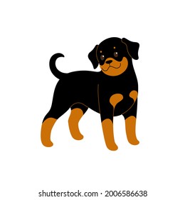 Rottweiler. Cute dog character. Vector illustration in cartoon style for poster, postcard.