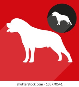 Rottweiler, dog