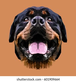 Rottweiler dog animal low poly design. Triangle vector illustration.
