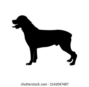 Rottweiler Dog animal Silhouette Vector Illustration.