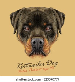 Rottweiler Dog animal strong face. Vector guard puppy head portrait. Realistic fur portrait of black and tan Rottweiler doggy isolated on tan background.