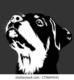 Rottweiler-Hund, schwarz-weißes Vektorporträt (Silhouette)