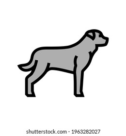 rottweiler dog color icon vector. rottweiler dog sign. isolated symbol illustration