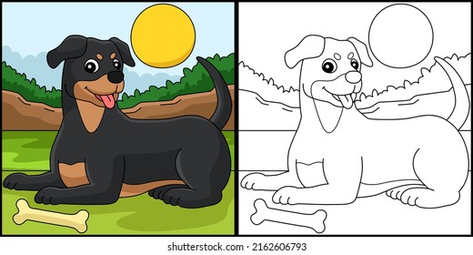 Ilustración coloreada de la página de colores de la página Rottweiler Dog