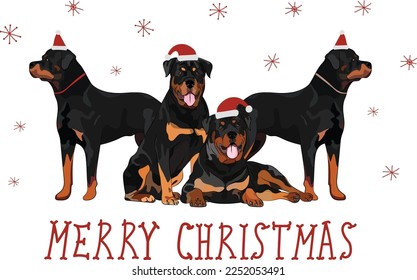 Rottweiler dog drawing. Cute dog characters in various poses, designs for prints, adorable and cute Christmas Rottweiler breed cartoon vector set, in different poses in hats, smiling cute pet.