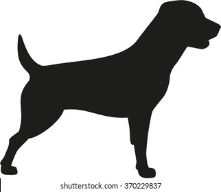 Rottweiler dog icon