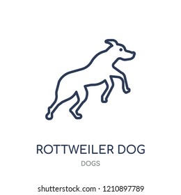 Rottweiler dog icon. Rottweiler dog linear symbol design from Dogs collection. Simple outline element vector illustration on white background.