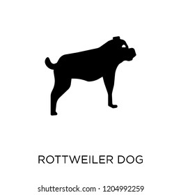 Rottweiler dog icon. Rottweiler dog symbol design from Dogs collection. Simple element vector illustration on white background.