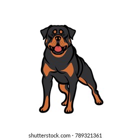 Rottweiler Dog - Isolated Vector Illustration