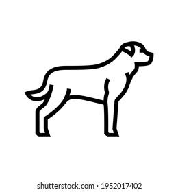 vector de icono de línea de perro de rottweiler. signo de perro de rottweiler. símbolo de contorno aislado ilustración negra