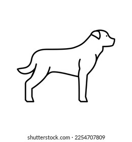 vector de icono de línea de perro de rottweiler. signo de perro de rottweiler. símbolo de contorno aislado ilustración negra