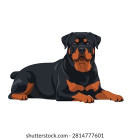 Rottweiler Dog Lying Down Illustration Isolated on White Background Vector Art of Purebred Guard Pet