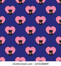 Rottweiler dog with paws pattern, Valentine's day heart wallpaper. Love heart with pet head holiday texture. Dog face Holding Heart Cartoon square background. St Valentine's day present paper, fabric.