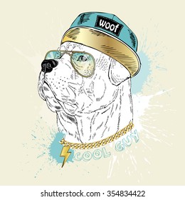 Rottweiler dog  portrait, hip hop style, hand drawn graphic