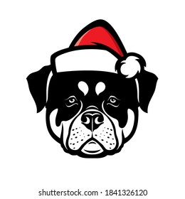 Rottweiler dog with santa claus hat isolated vector illustration