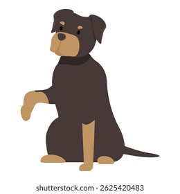 Rottweiler dog sitting and raising its paw