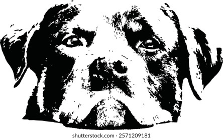 Rottweiler dog stencil laying head on surface.