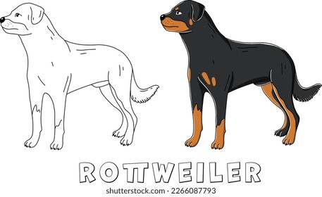 Perro Rottweiler, dibujo vectorial lindo ilustración de contorno aislado en fondo blanco
