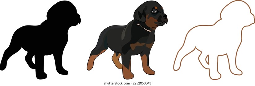 Perros de Rottweiler. Diseño de logotipo de cachorro, silueta y contornos. El personaje de la mascota es arte de postal. Detallado Negro y Tan, Mahogany, Rust pott. Crianza de Alemania, pequeña ilustración de mascotas.