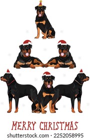 Rottweiler dogs wearing winter hats. Cute funny dogs.Abstract Christmas tree. Vector illustration. Merry Christmas greeting card with the cute funny dogs, holiday, purebred with happy eyes, sitting.