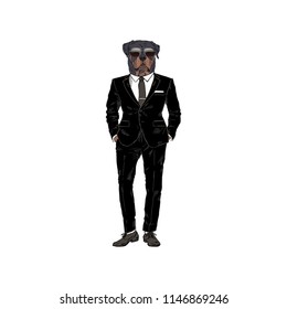 Rottweiler dressed up in black suit, anthropomorphic animal illustration