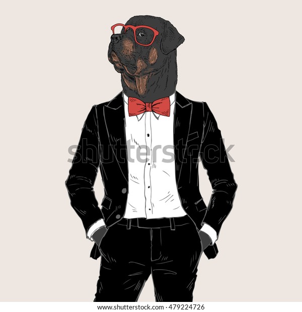 Rottweiler Dressed Tuxedo Anthropomorphic Illustration Fashion Stock ...