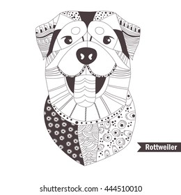 Rottweiler. entangle style. Coloring book for adult, antistress coloring pages. Hand drawn vector isolated illustration on white background. Henna mehendi, tattoo sketch