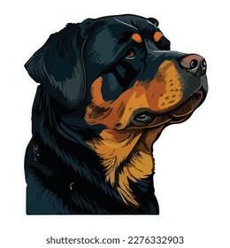 Rottweiler Flat Icon Isolated On White Background