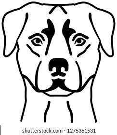 Rottweiler head black and white