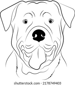 Rottweiler Head ears Vector illustration Line Art