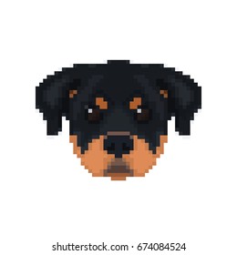 Rottweiler head in pixel art style. Dog vector illustration. 