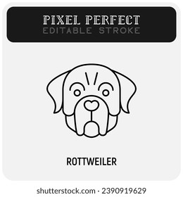 Rottweiler head thin line icon. Dog breed. Editable stroke. Vector illustration.